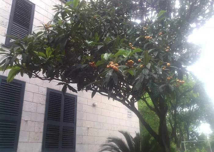 Διαμέρισμα La Mia