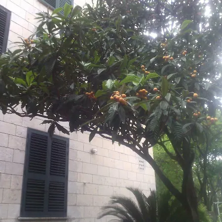 Apartament La Mia